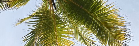 marvinviquez header picture leakfans.com