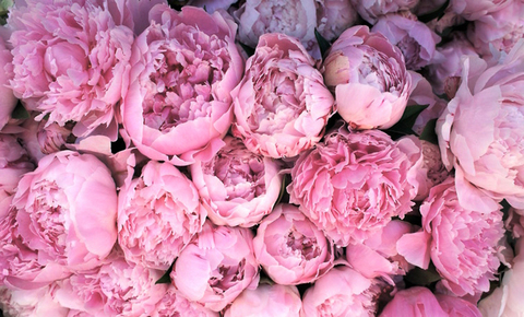 mary1one header picture leakfans.com