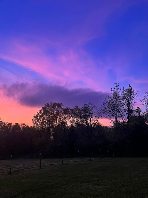 marzisreal header picture leakfans.com