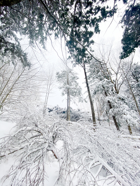 masonwoods420 header picture leakfans.com