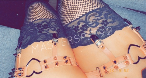 Header of masterspet92