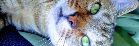 matiasganthier1 header picture leakfans.com