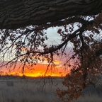 matrim008 profile picture leakfans.com