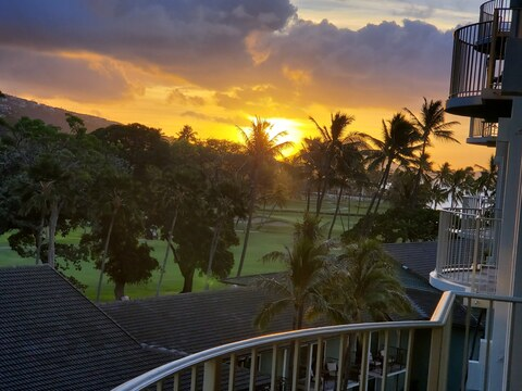 maxximus317 header picture leakfans.com