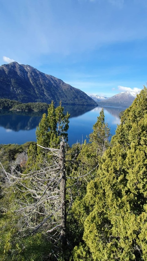 meanmachine73 header picture leakfans.com