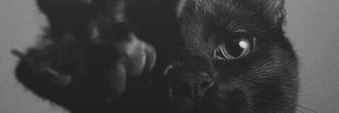 media_girl header picture leakfans.com