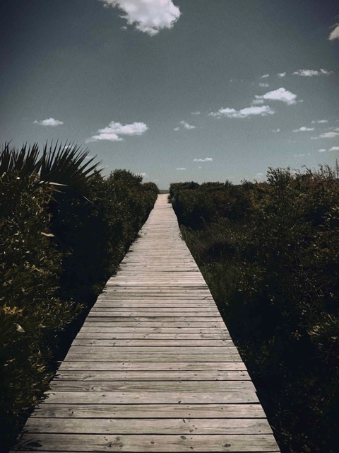 medicalstudent header picture leakfans.com