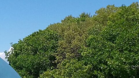 meelkira header picture leakfans.com