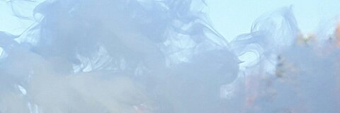 meganut header picture leakfans.com