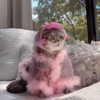 meggorett profile picture leakfans.com