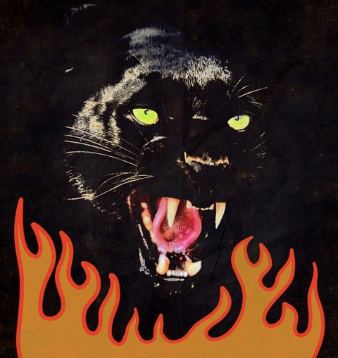 meggszie header picture leakfans.com