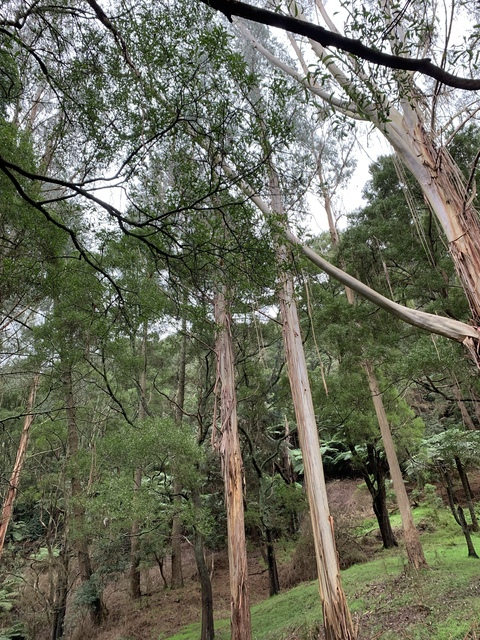 megzyyy header picture leakfans.com