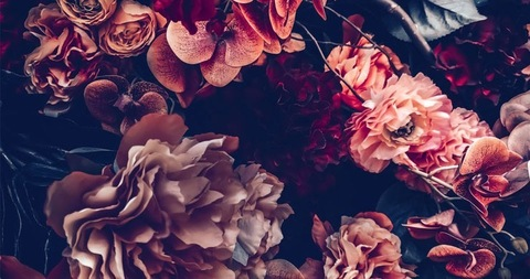 melaniasweet header picture leakfans.com