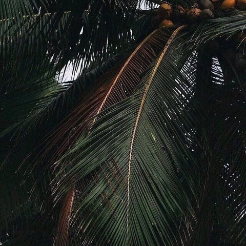 meli_burn header picture leakfans.com