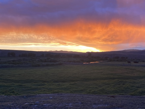 melr22 header picture leakfans.com