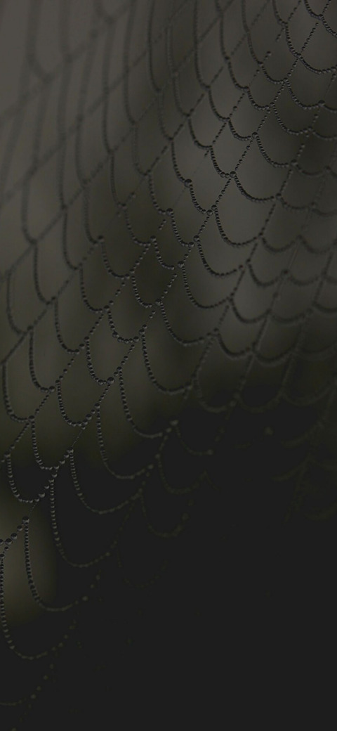 mercynixx header picture leakfans.com