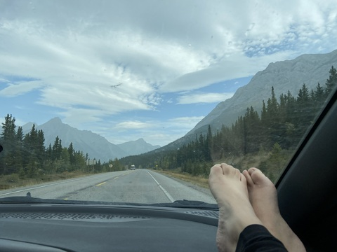 merpdemer header picture leakfans.com