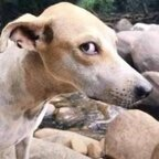 meruu profile picture leakfans.com