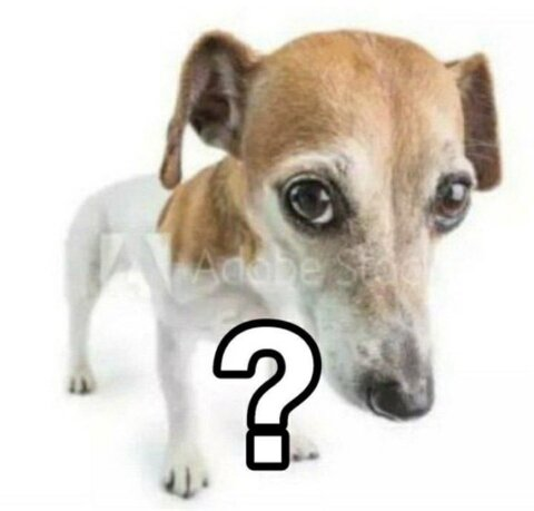 meruu header picture leakfans.com