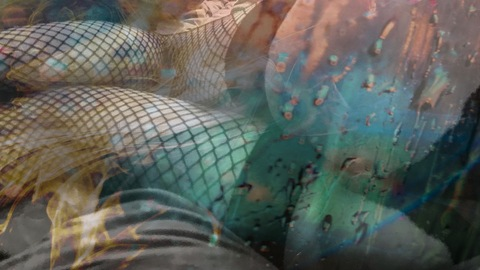 mesmerizing_meadow header picture leakfans.com