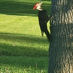 metalfarmboy profile picture leakfans.com