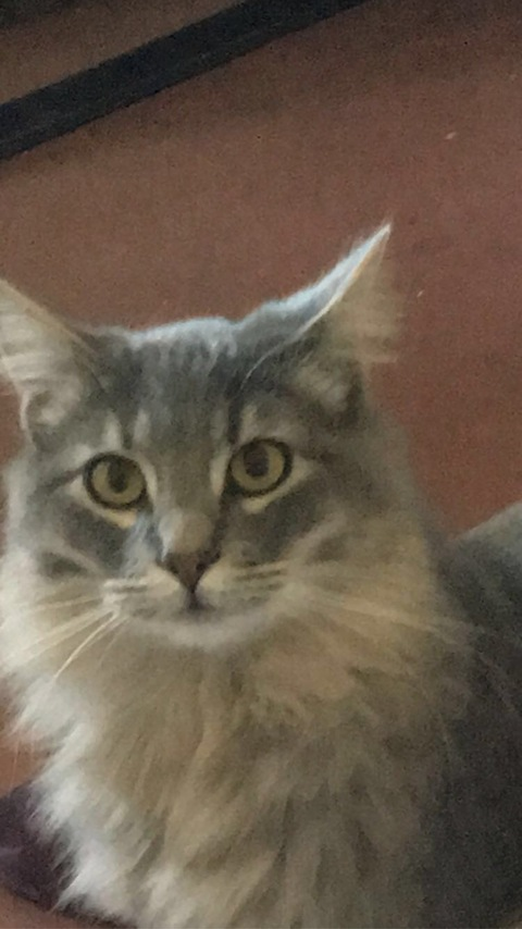 methamphetabeaned header picture leakfans.com