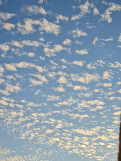 mexicanfarter1 header picture leakfans.com