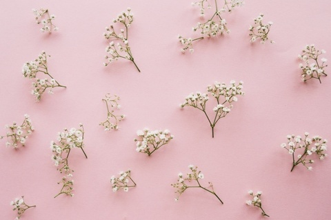 mia_costa header picture leakfans.com