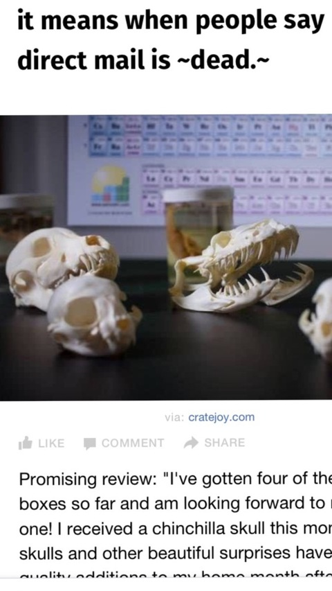 miakuffcake header picture leakfans.com