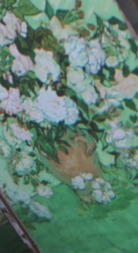 miaswildworld header picture leakfans.com