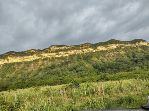 micandel header picture leakfans.com