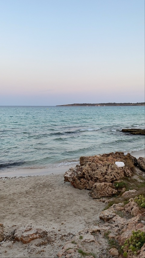 michaelforresternl header picture leakfans.com