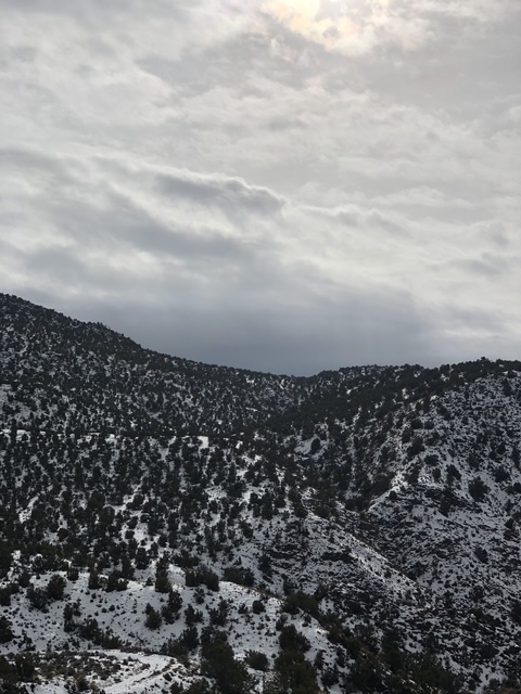 michelle14_xoxo header picture leakfans.com