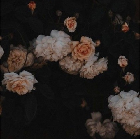 michellelorrainegrider header picture leakfans.com