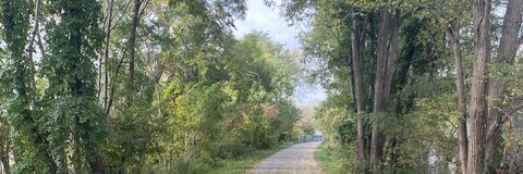 michelleybutton header picture leakfans.com