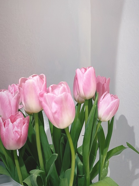 michelllggg header picture leakfans.com