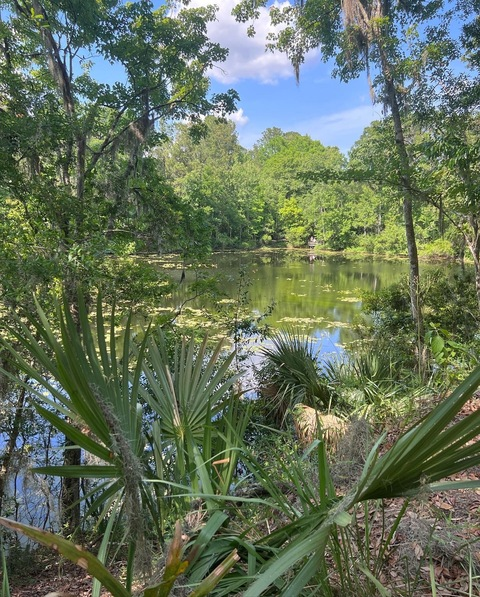 midgetbtch header picture leakfans.com