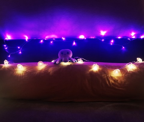 midnafox header picture leakfans.com