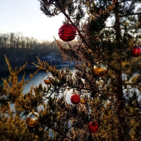 midwestbiguy header picture leakfans.com