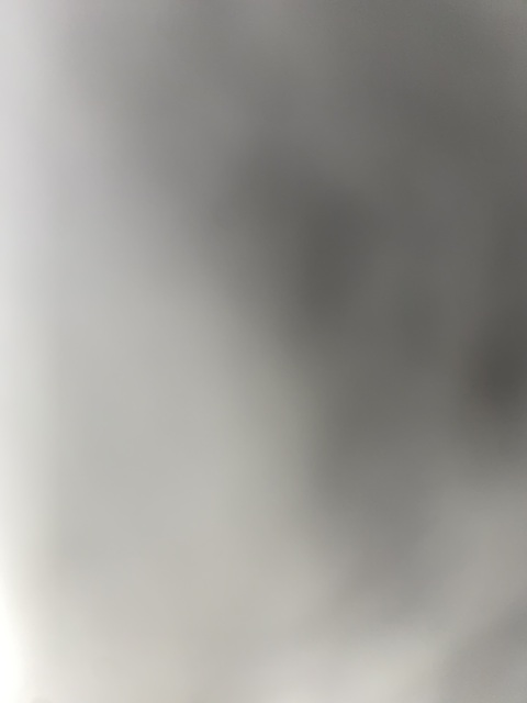 mikastayslit header picture leakfans.com