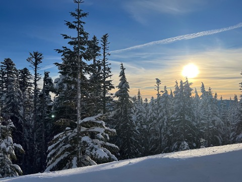 mike8756 header picture leakfans.com