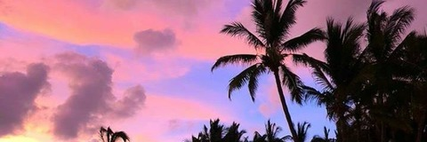 mila_of header picture leakfans.com