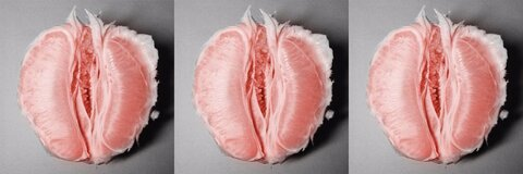 milk.honey header picture leakfans.com