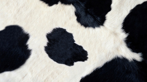 milkytits95 header picture leakfans.com