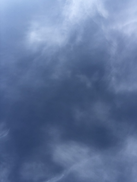 milliestits header picture leakfans.com