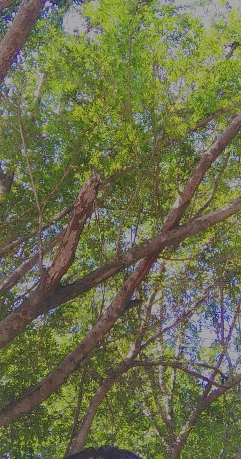 mimilin header picture leakfans.com