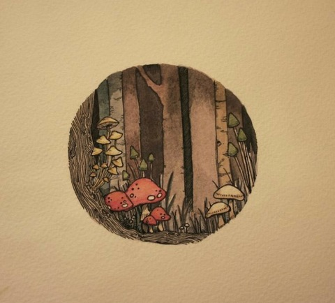 minnesnowtaraised header picture leakfans.com