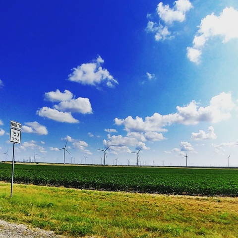 minniemo header picture leakfans.com