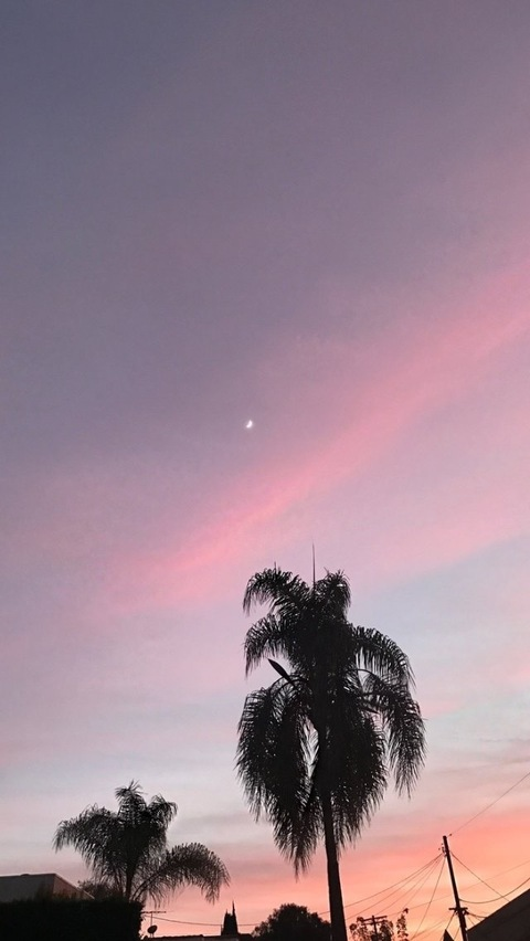 minxiemelodie header picture leakfans.com