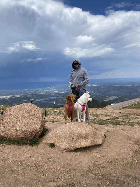 mischiefmanage header picture leakfans.com